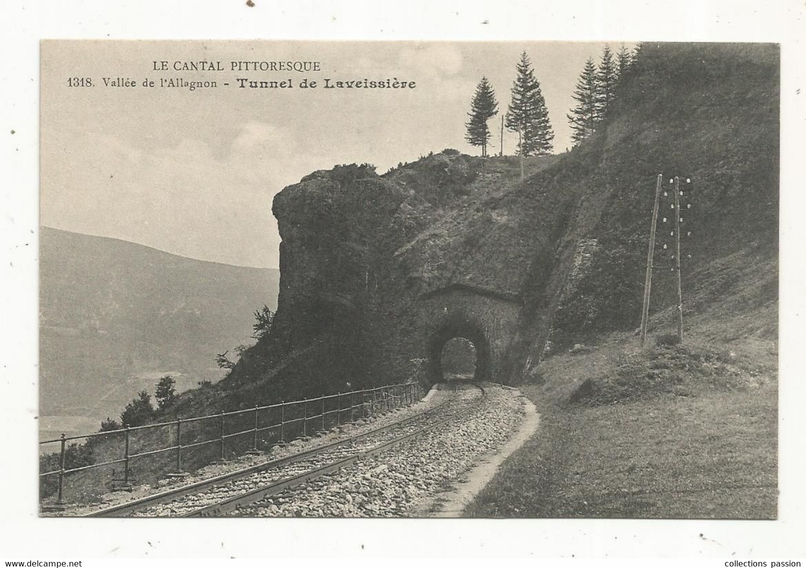 Cp, 15 , Cantal , Vallée De L'Allagnon , Tunnel De LAVEISSIERE  , Vierge - Autres & Non Classés