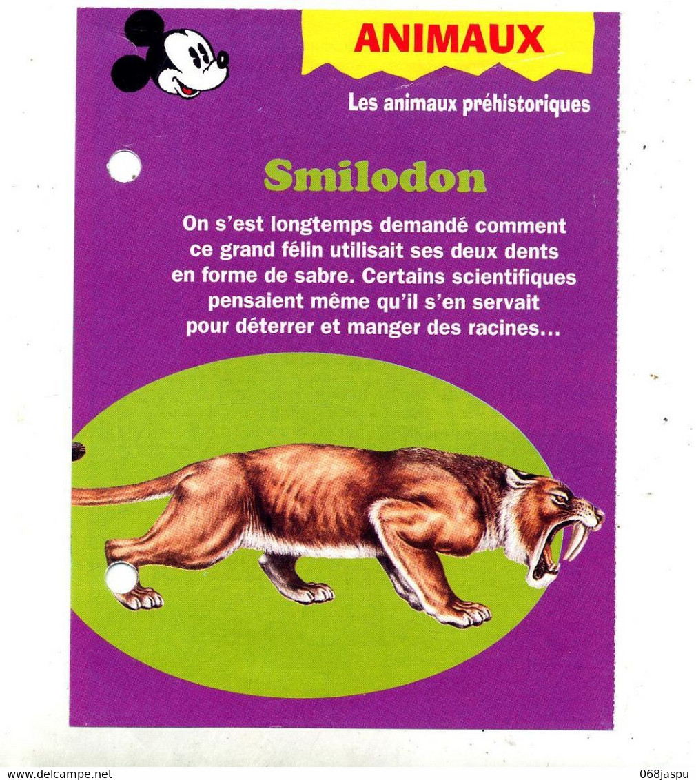 Fiche Mickey  Smilodon - Bateaux
