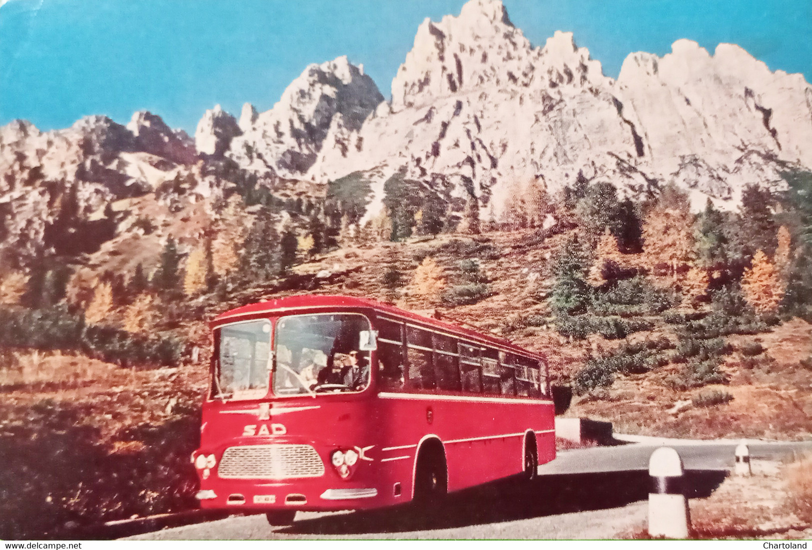 Cartolina - La Strada Delle Dolomiti - SAD Direzione Generale Bolzano - 1966 - Bolzano (Bozen)