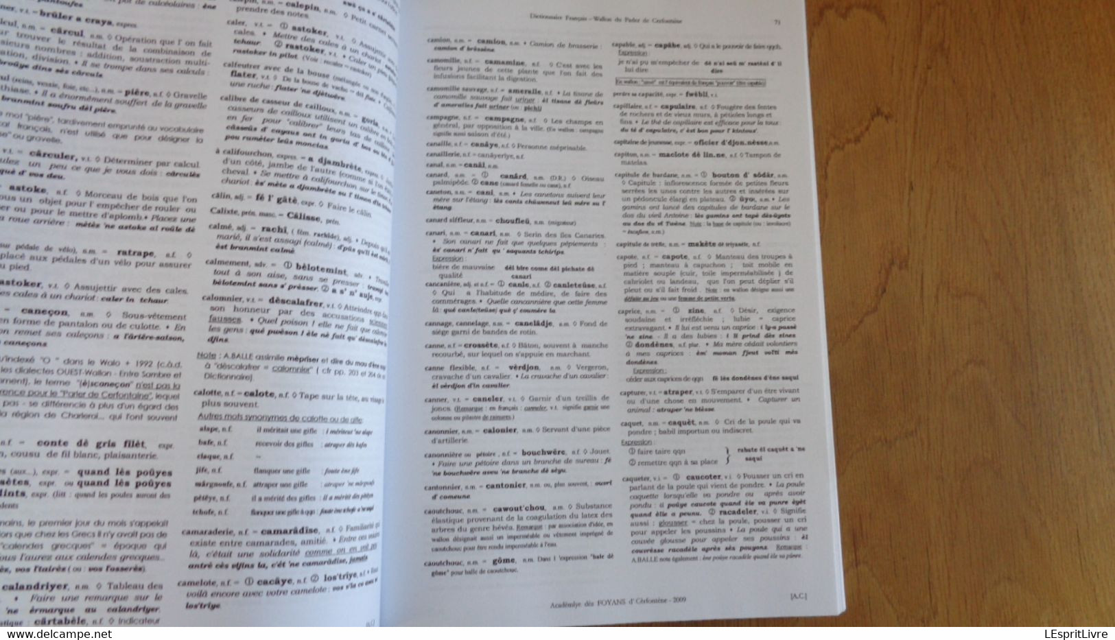 DICTIONNAIRE FRANCAIS WALLON DU PARLER DE CERFONTAINE Régionalisme Patois Dialecte Dialectologie Belgique