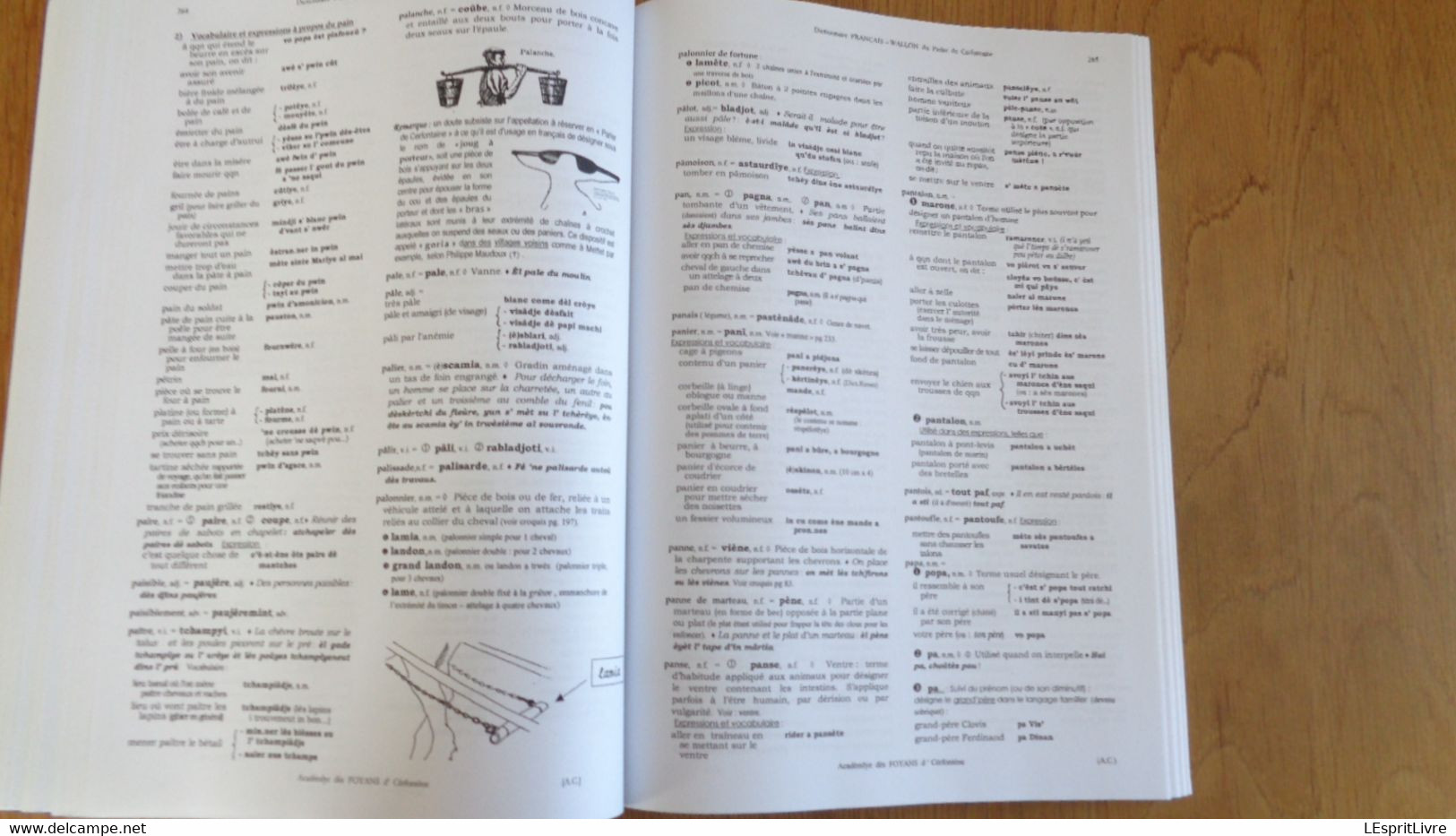 DICTIONNAIRE FRANCAIS WALLON DU PARLER DE CERFONTAINE Régionalisme Patois Dialecte Dialectologie Belgique