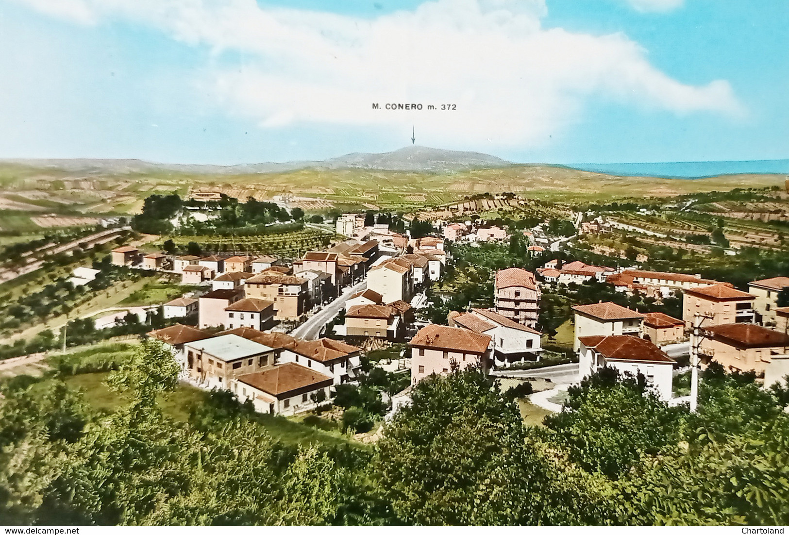 Cartolina - Osimo - Panorama Generale - 1963 - Ancona