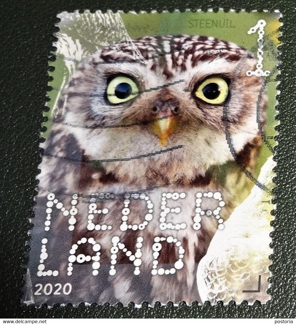 Nederland - NVPH - Xxxx - 2020 - Gebruikt - Used - Beleef De Natuur - Steenuil - Gebruikt