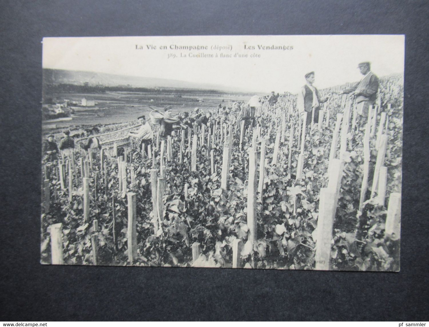 Frankreich AK Um 1910 La Vie En Champagne Les Vendanges / Weinlese La Cueillette A Flanc D'une Cote Sekt Champagner Moet - Vines