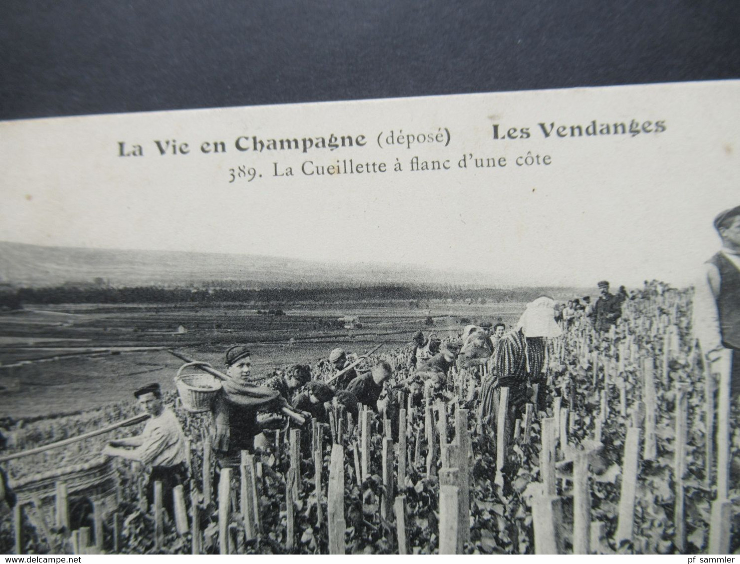 Frankreich AK Um 1910 La Vie En Champagne Les Vendanges / Weinlese La Cueillette A Flanc D'une Cote Sekt Champagner Moet - Viñedos