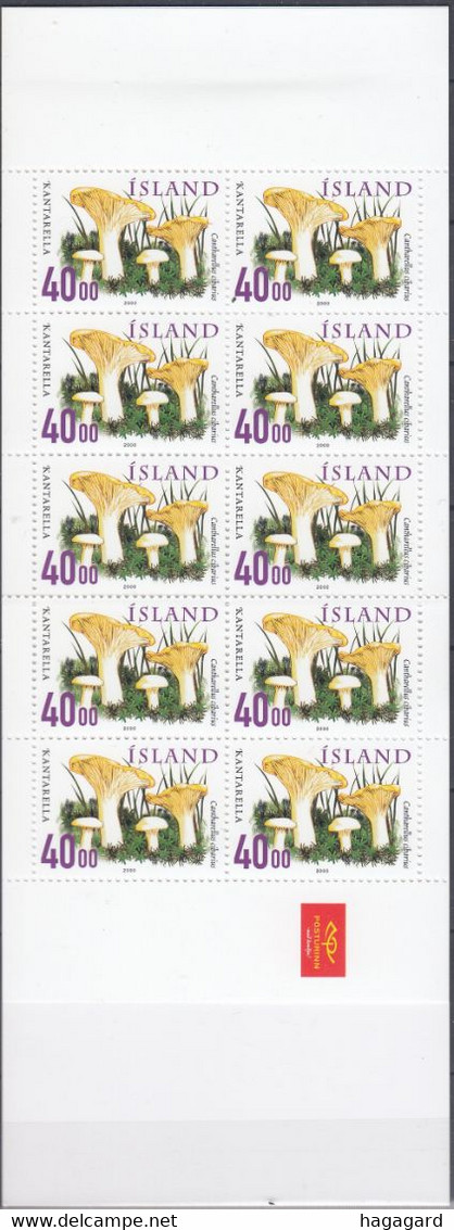 ++A1960. Iceland 2000. Mushrooms. Complete Booklet (10 Stamps). Michel 943. MNH(**) - Carnets