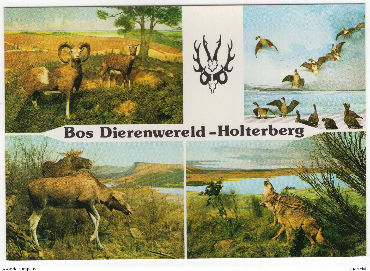 Holten (Ov.) - 'BOS DIERENWERELD' , Holterbergweg 12 - Holterberg - (Nederland) - Nr. L 1670 - Holten