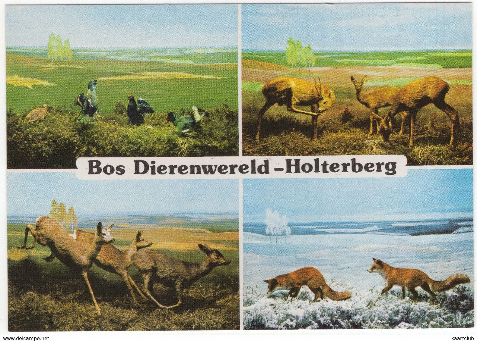 Holten (Ov.) - 'BOS DIERENWERELD': Diorama De 4 Jaargetijden Op De Holterberg , Holterbergweg 12 - (Nederland) - Holten