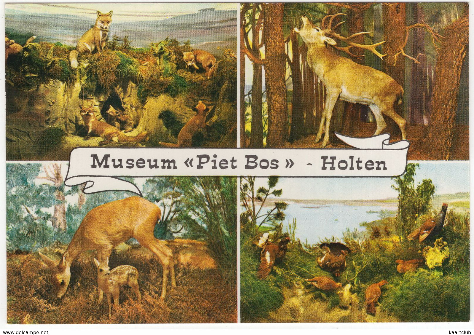 Holten (Ov.) - Museum 'Piet Bos' , Holterberg - (Nederland) - L 1322 - Holten