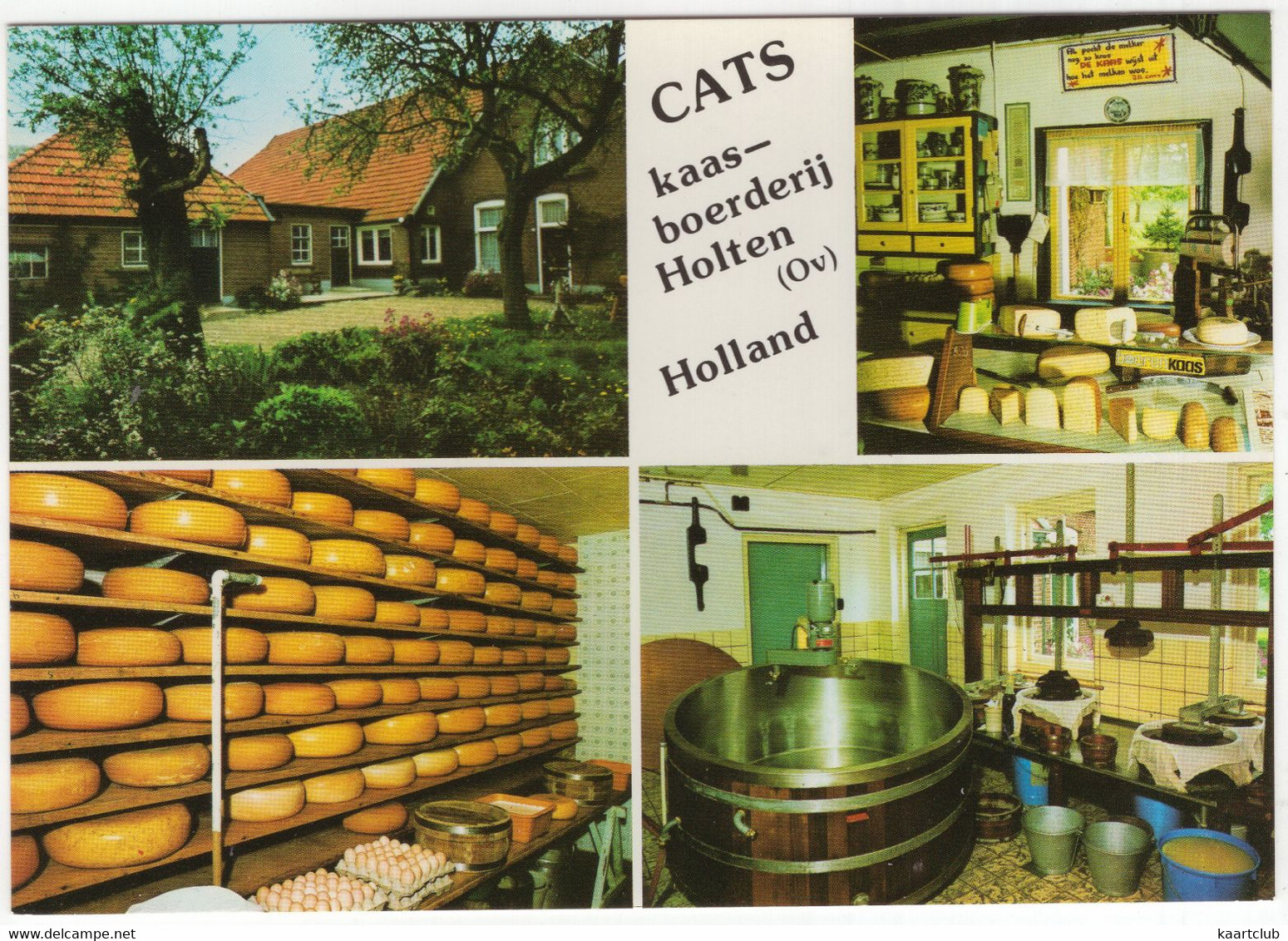 Holten - 'Cats', Kaasboerderij, Larenseweg 106 - (Overijssel, Nederland) - Frommage / Käse / Cheese - Holten