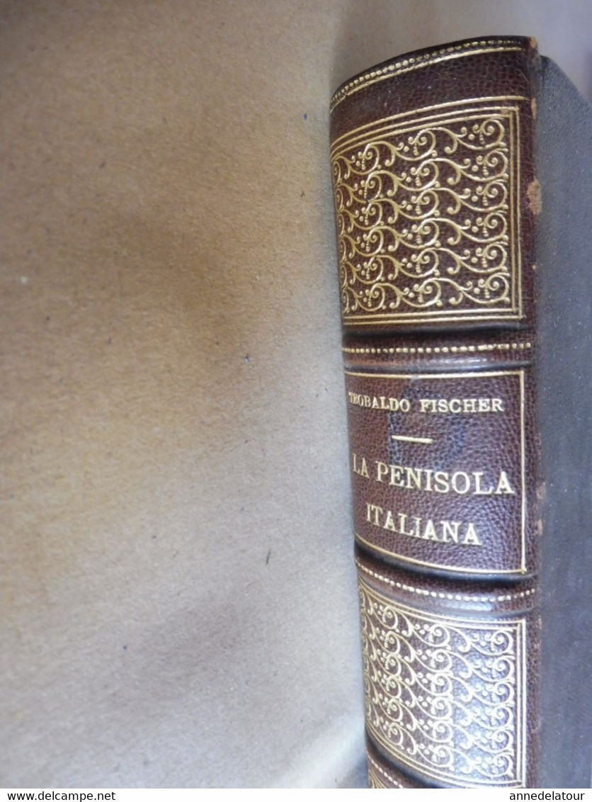 1902  STORIA NATURALE - LA PENISOLA ITALIANA (Prof. Teobaldo Fischer)- Con 60 Figure Intercalate Nel Test E 29 Tavole... - Livres Anciens