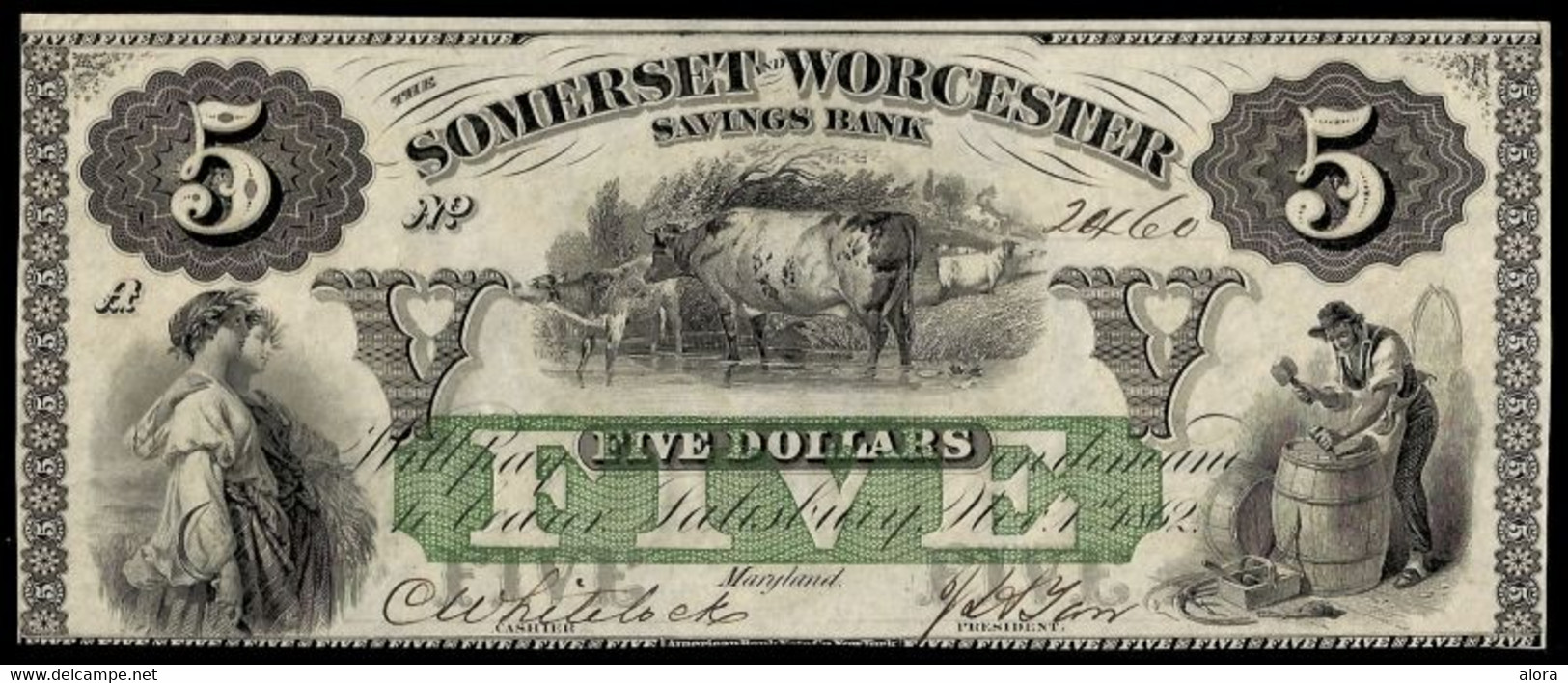 United States Of America, Maryland, Salisbury - The Somerset And Worcester Savings Bank, 5 Dollars 1.11.1862 (B0421) - Confederate Currency (1861-1864)