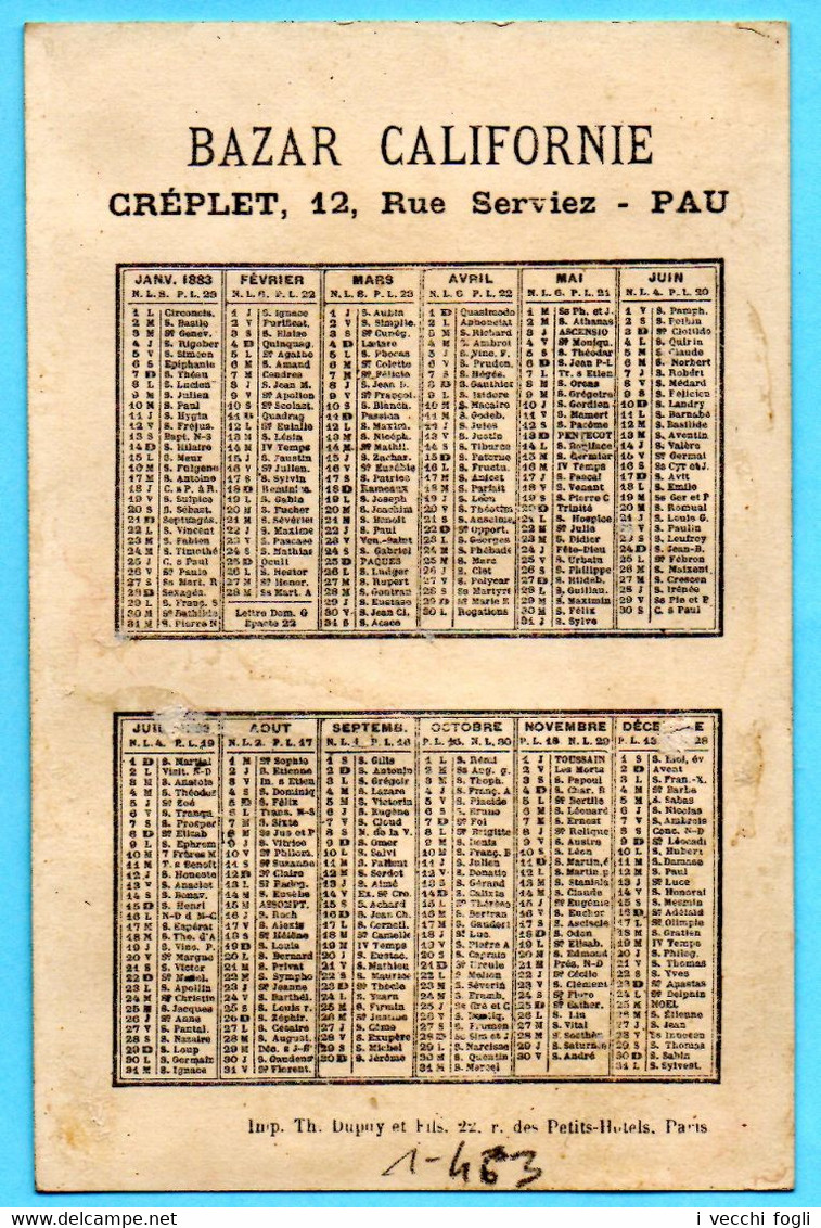 Adorable Chromo Bazar Californie. Calendrier 1883, Année Complète. Fille Assise Sur Des Violettes Géantes. Fond Doré - Petit Format : ...-1900