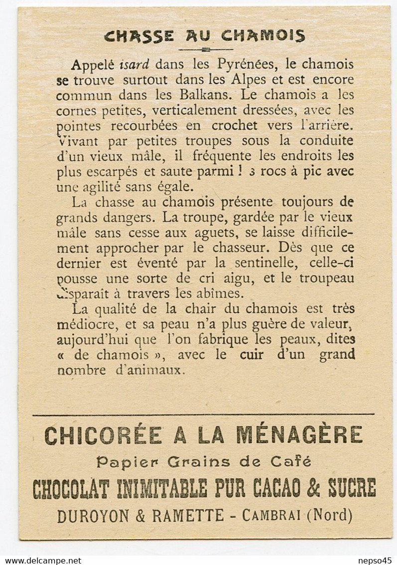 Chromo Duroyon & Ramette.chicorée à La Ménagère.papier Grain De Café.chocolat Pur Cacao & Sucre.chasse Au Chamois. - Duroyon & Ramette