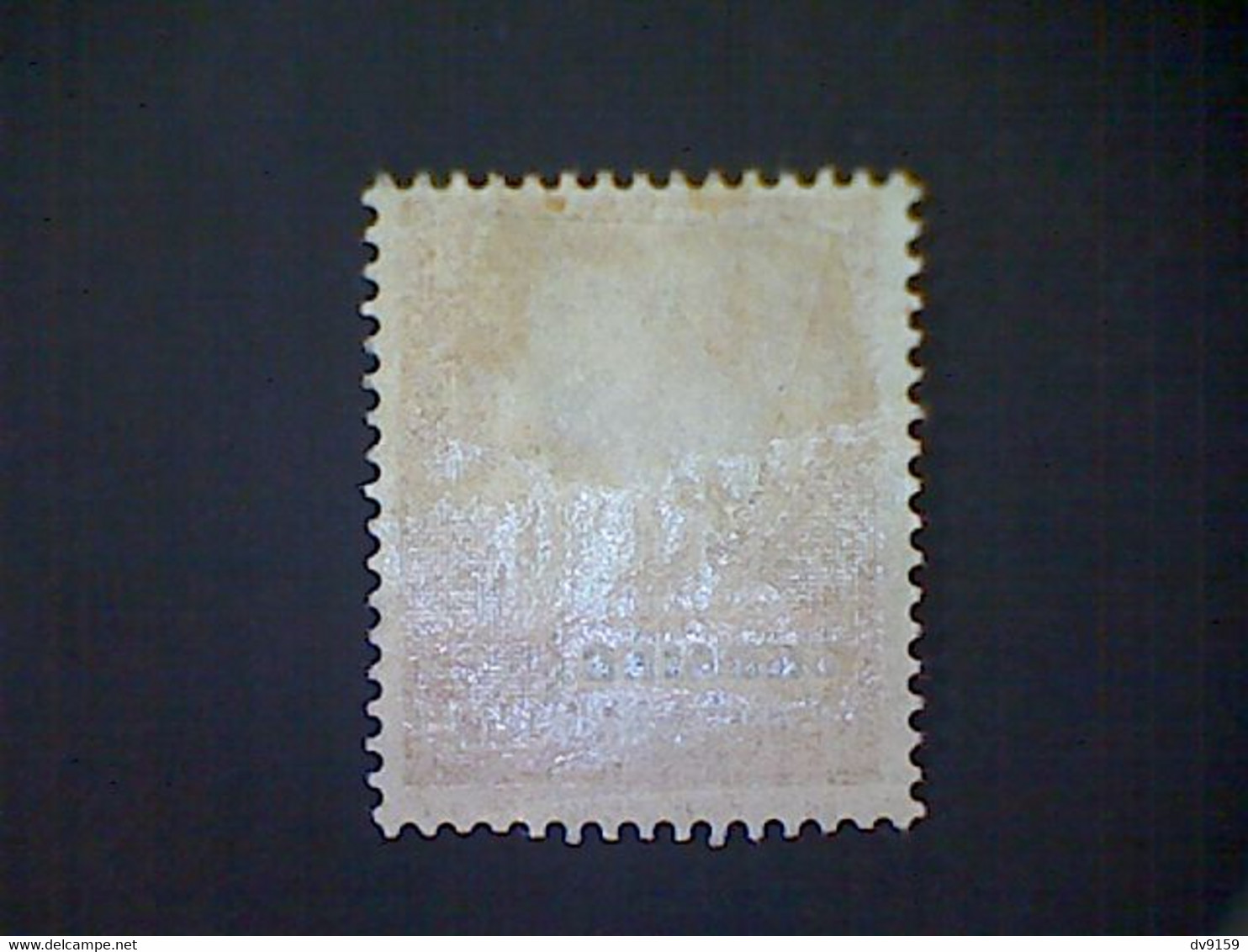 Russia, Scott #N54, Mint (*), 1941, Hitler Overprint Ukraine, 24pf, Orange Brown - 1941-43 Ocupación Alemana