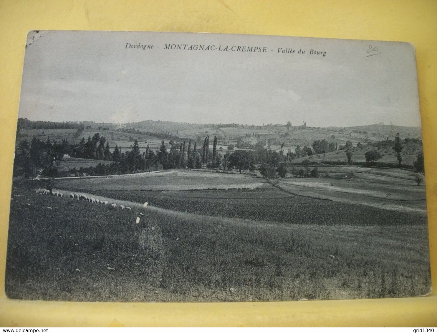 24 4475 INCONNU SUR DELCAMPE. CPA 1915 - 24 MONTAGNAC LA CREMPSE. VALLEE DU BOURG - BERGER ET SON TROUPEAU DE MOUTONS - Otros & Sin Clasificación