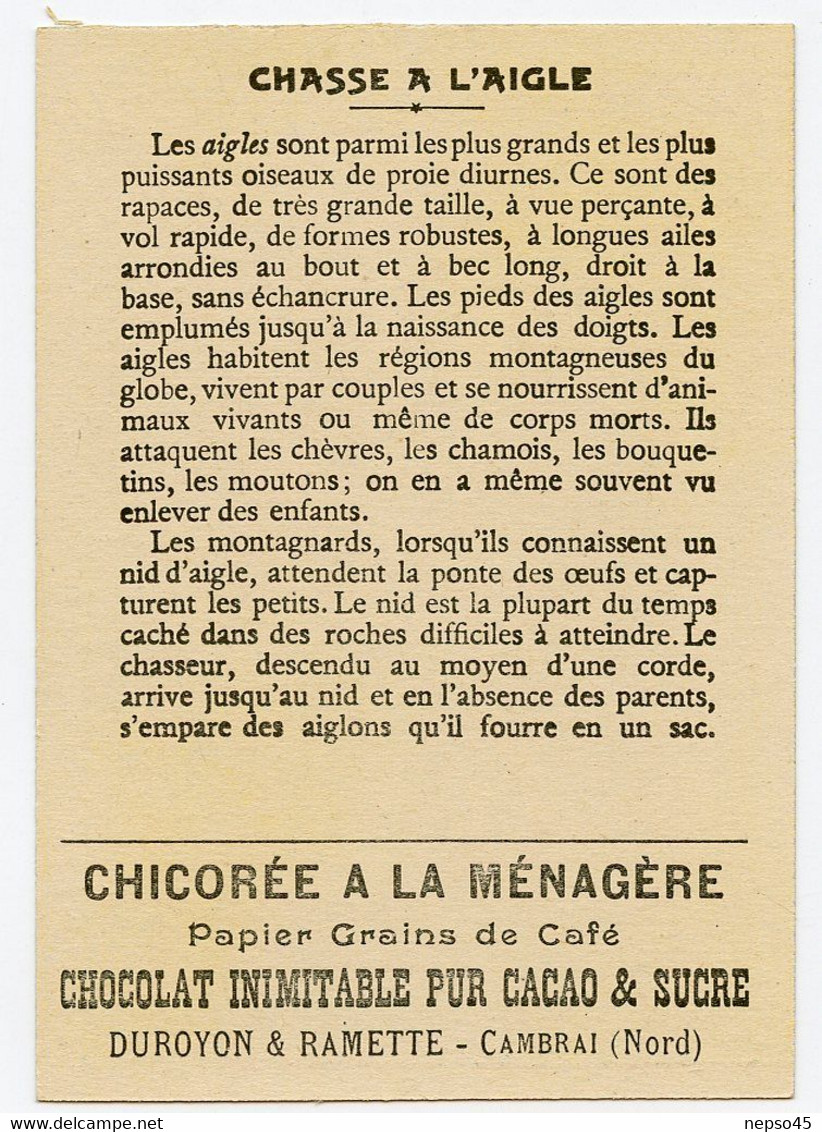 Chromo Duroyon & Ramette.chicorée à La Ménagère.papier Grain De Café.chocolat Pur Cacao & Sucre.chasse à L'aigle. - Duroyon & Ramette