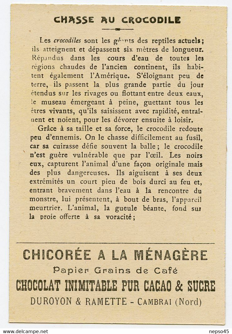 Chromo Duroyon & Ramette.chicorée à La Ménagère.papier Grain De Café.chocolat Pur Cacao & Sucre.chasse Au Crocodile. - Duroyon & Ramette