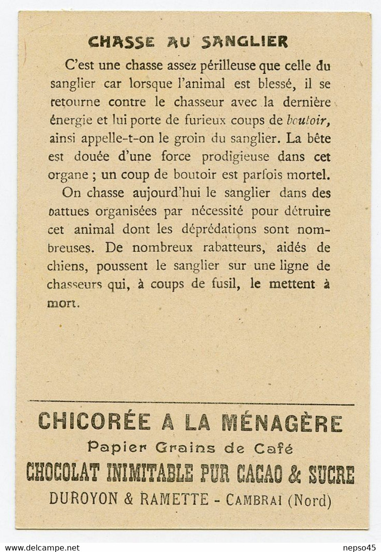 Chromo Duroyon & Ramette.chicorée à La Ménagère.papier Grain De Café.chocolat Pur Cacao & Sucre.chasse Au Sanglier. - Duroyon & Ramette