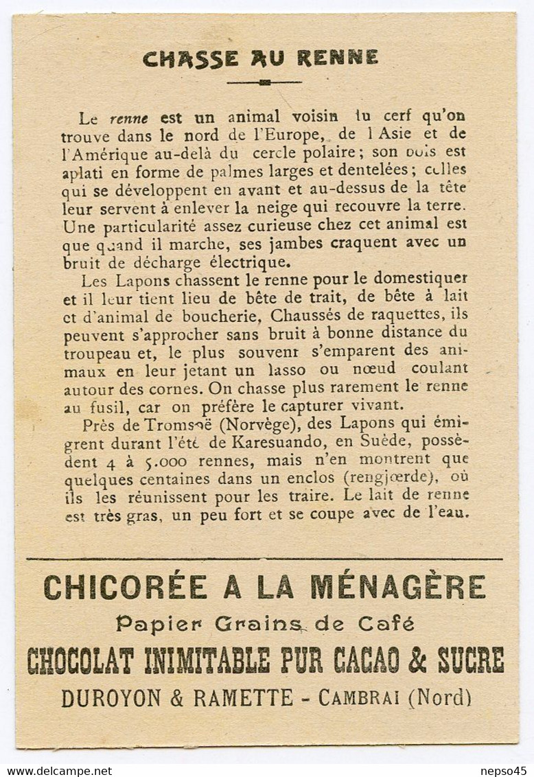 Chromo Duroyon & Ramette.chicorée à La Ménagère.papier Grain De Café.chocolat Pur Cacao & Sucre.chasse Aux Rennes. - Duroyon & Ramette