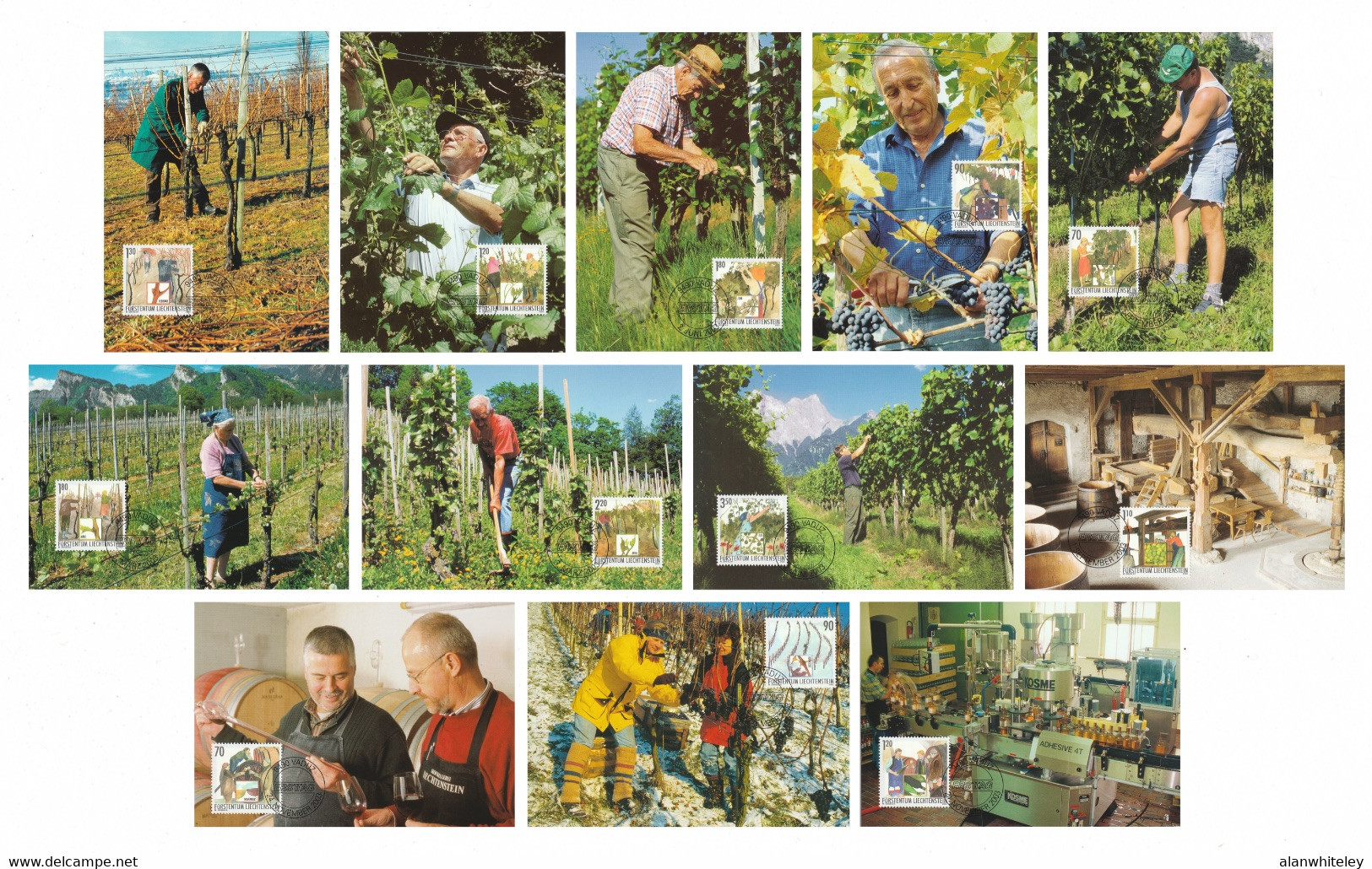 LIECHTENSTEIN 2003 Viniculture: Set Of 12 Maximum Cards CANCELLED - Cartoline Maximum