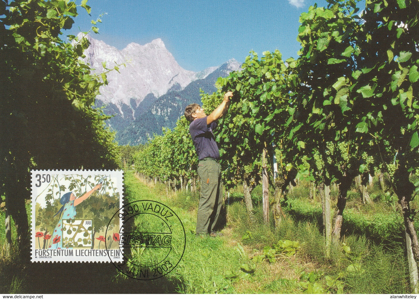 LIECHTENSTEIN 2003 Viniculture: Set of 12 Maximum Cards CANCELLED