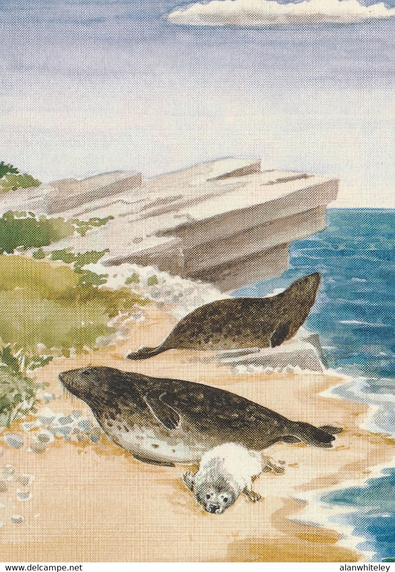 IRELAND 1997 Marine Mammals: Set Of 4 Postcards MINT/UNUSED - Interi Postali