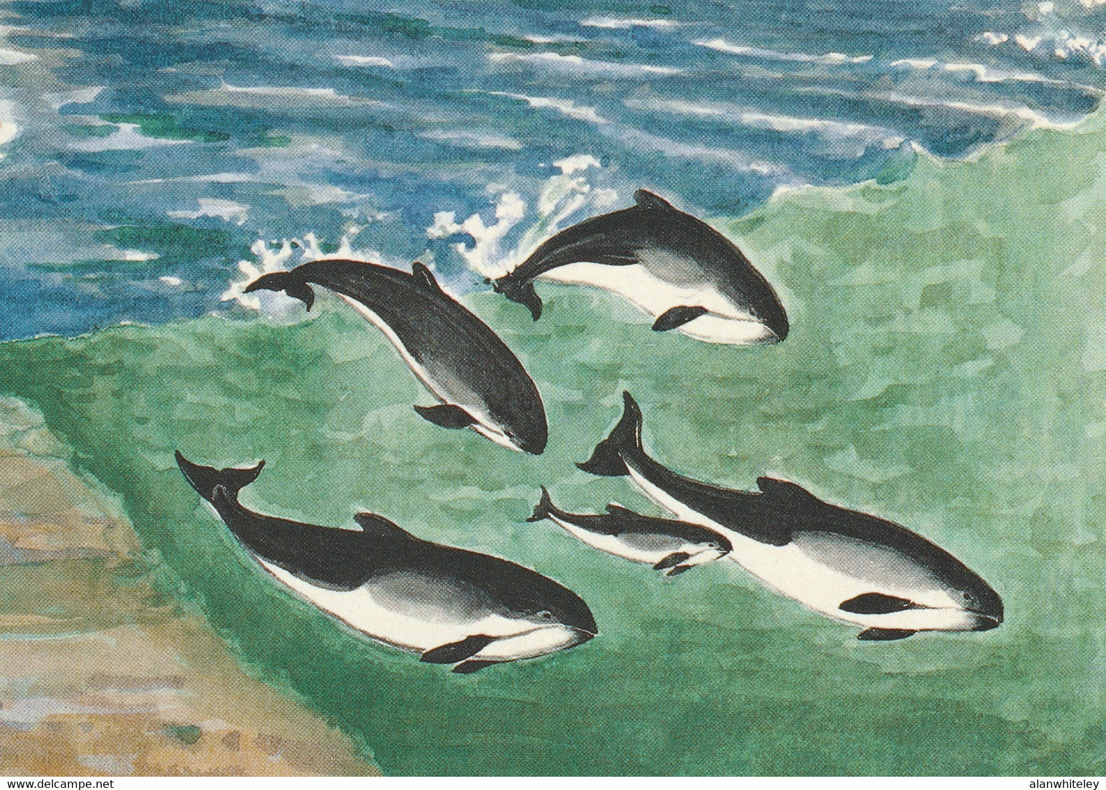 IRELAND 1997 Marine Mammals: Set Of 4 Postcards MINT/UNUSED - Postwaardestukken