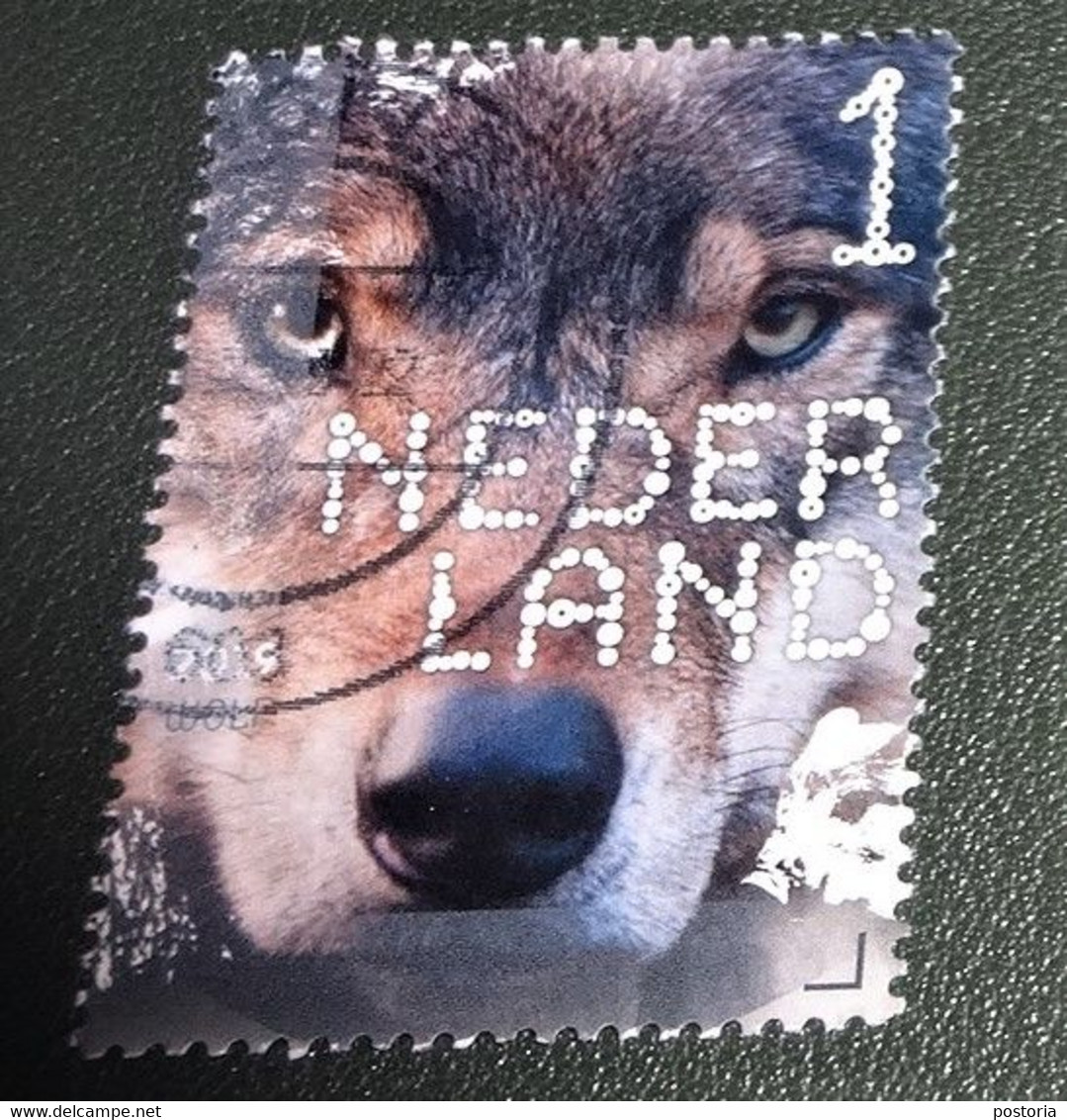 Nederland - NVPH - Xxxx - 2019 - Gebruikt - Used - Beleef De Natuur - Wolf - Gebraucht