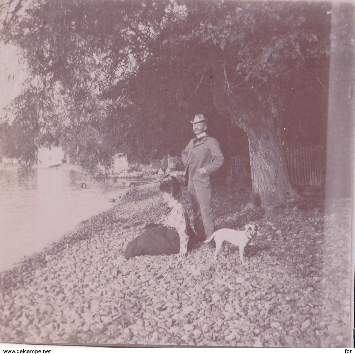 Photo Originale Ancienne : Couple Au Bord Du Lac Avec Leur Chien : Chien à Identifier - Old (before 1900)