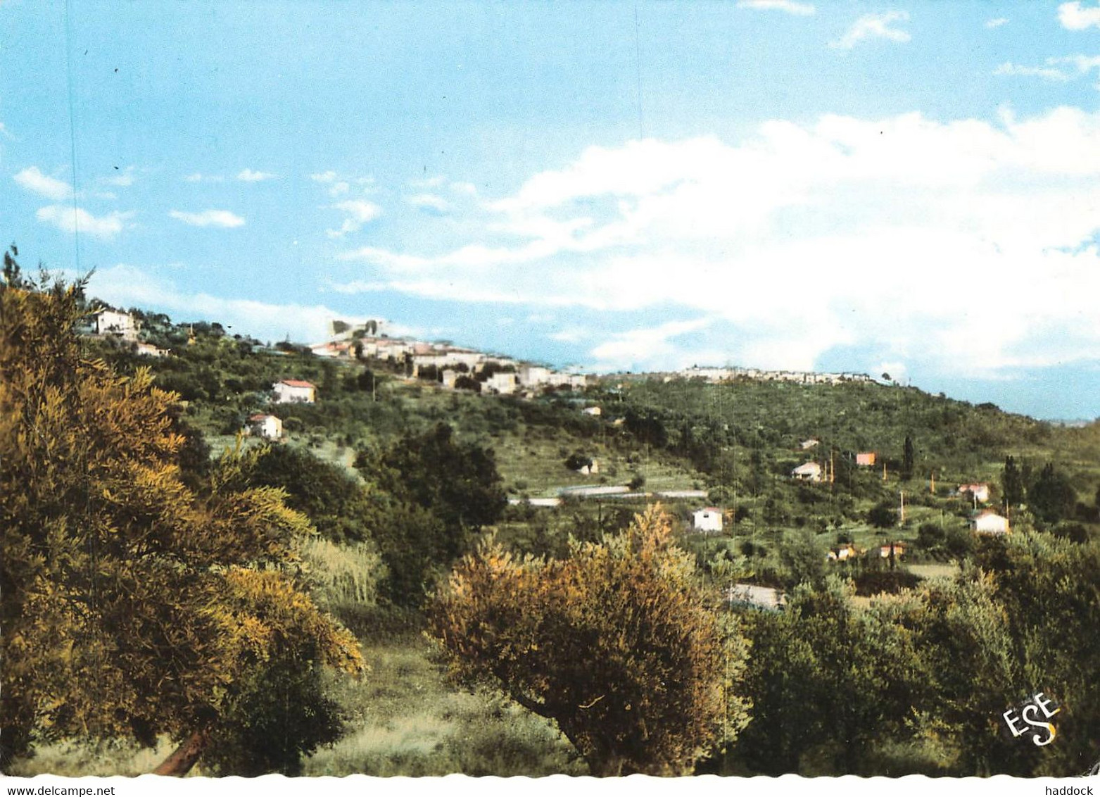 MONTAUROUX : VUE DE MONTAUROUX ET DE CALLIAN - Montauroux