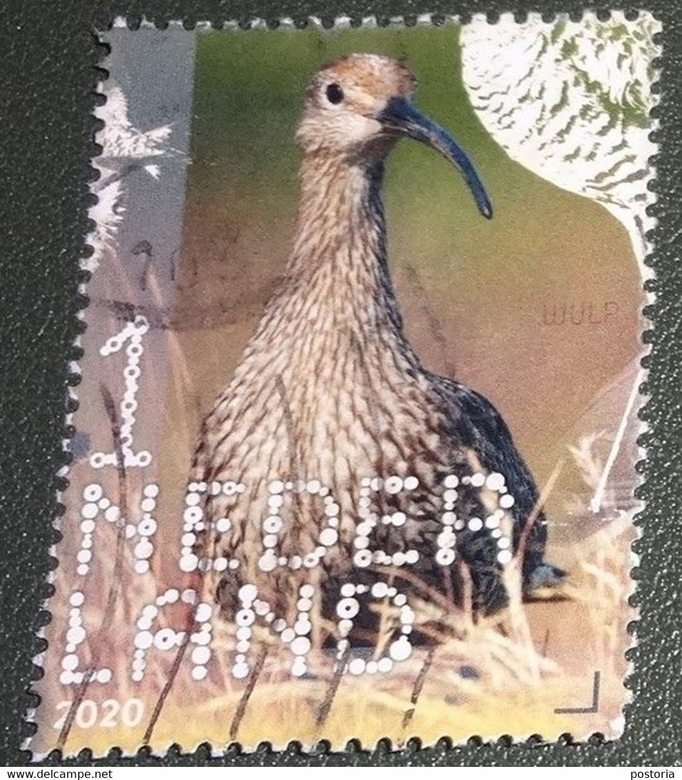 Nederland - NVPH - Xxxx - 2020 - Gebruikt - Used - Beleef De Natuur - Wulp - Used Stamps