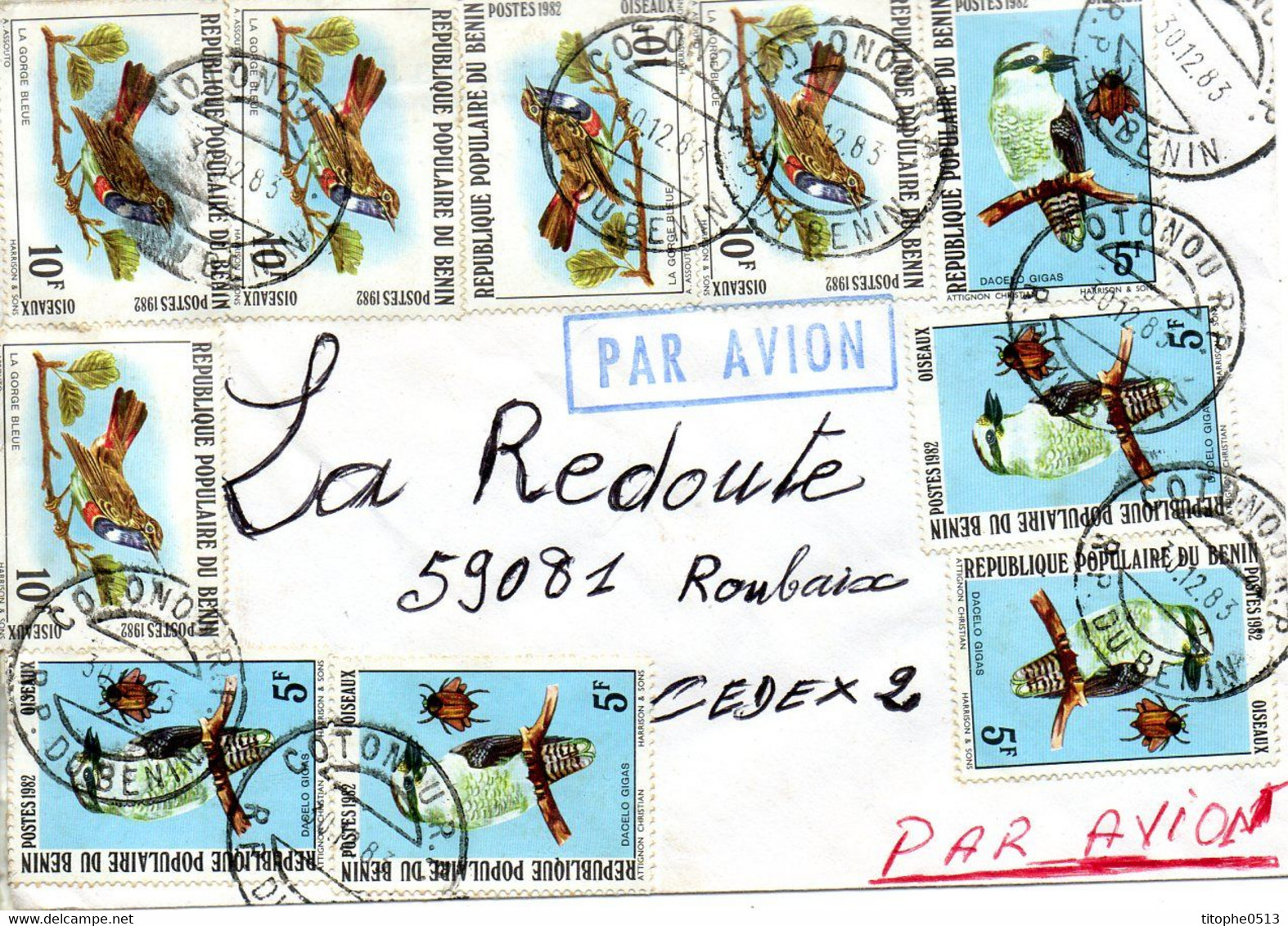 BENIN. N°545-6 De 1982 Sur Enveloppe Ayant Circulé. Martin-chasseur/Gorge Bleue à Miroir. - Pájaros Cantores (Passeri)