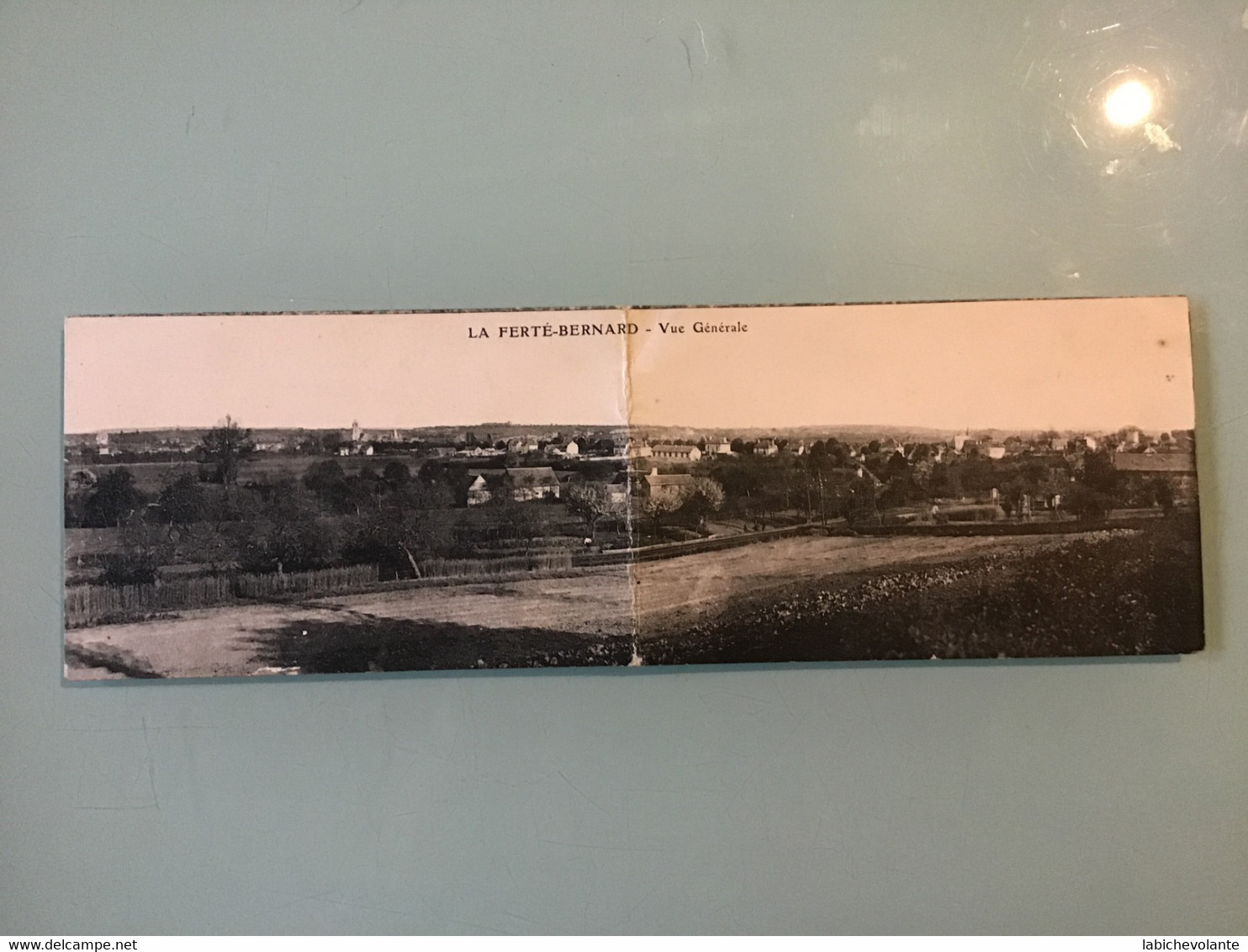 LA FERTÉ-BERNARD  — Vue Générale. — Carte Panoramique - La Ferte Bernard