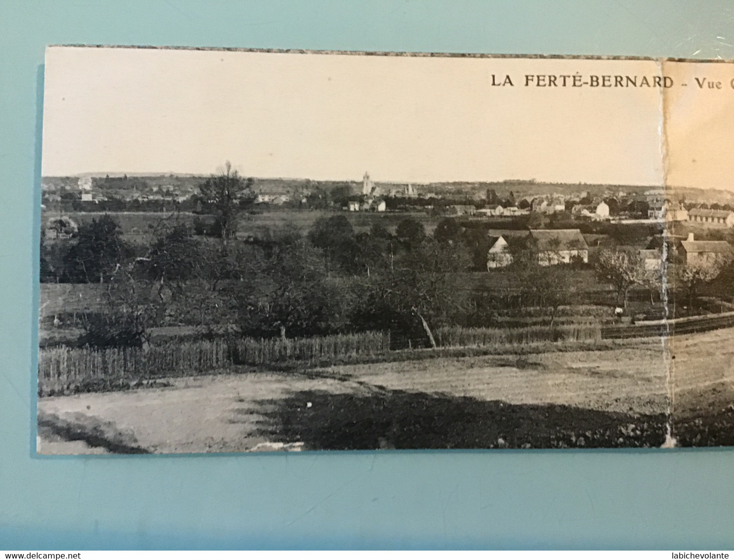 LA FERTÉ-BERNARD  — Vue Générale. — Carte Panoramique - La Ferte Bernard