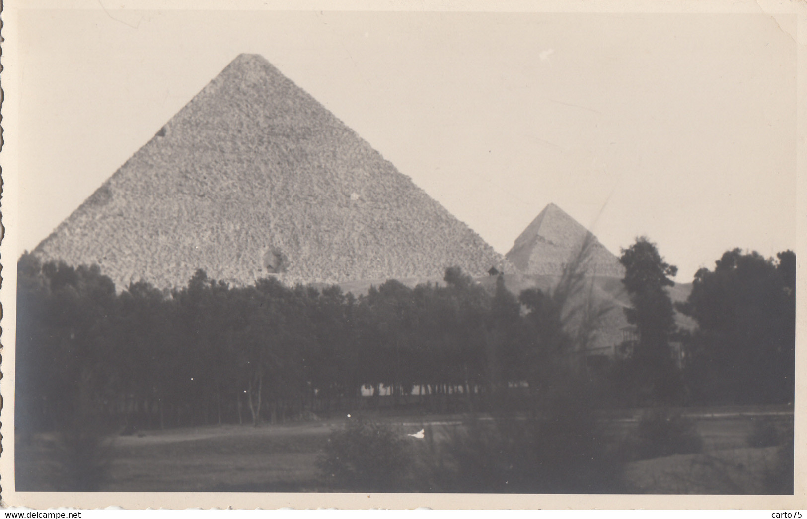 Egypte - Cairo Le Caire Pyramides - Carte-photo - Pyramides De Gizeh - Archéologie - Pyramiden