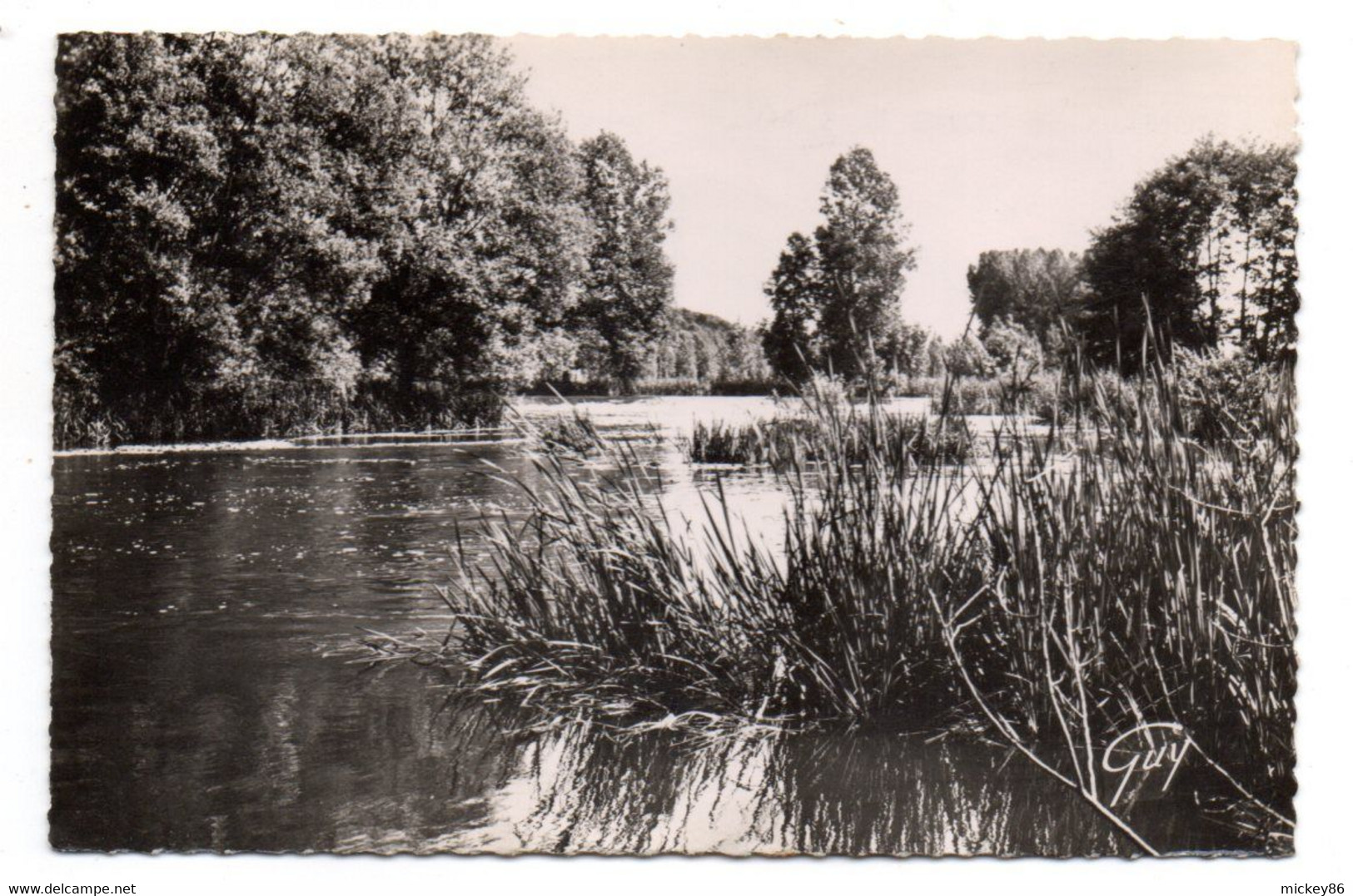 BAGNEAUX SUR LOING -- 1957--Le Loing.........timbre...cachet   SOUPPES SUR LOING............à Saisir - Bagneaux Sur Loing