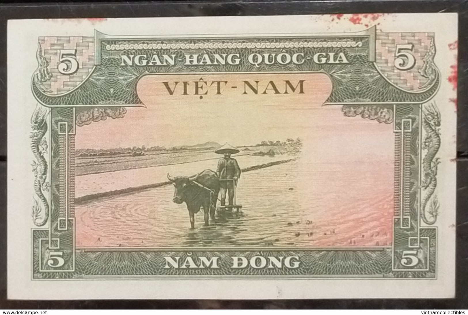 South Vietnam Viet Nam 5 Dong AU Banknote Note 1955 With Error / VARIETY: THU QUY - RARE - Pick # 2 / 03 Photos - Viêt-Nam