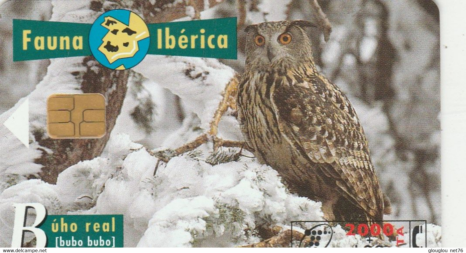 TELECARTE ETRANGERE AVEC HIBOU - Búhos, Lechuza