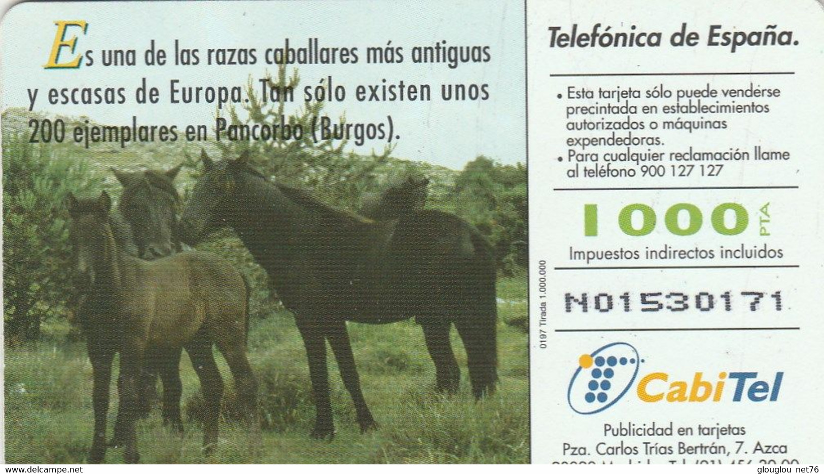 TELECARTE ETRANGERE AVEC  CHEVAUX - Horses