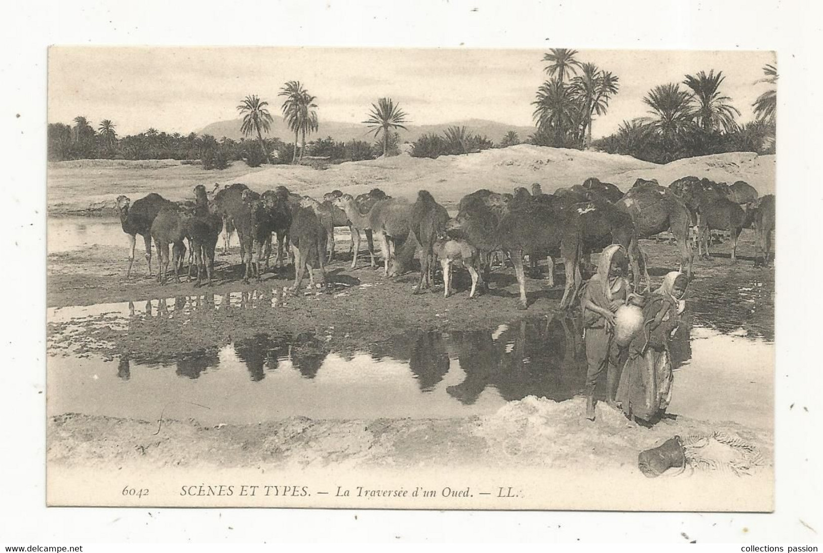 Cp , ALGERIE , Scénes & Types ,la Traversée D'un Oued , Ed. LL , N° 6042 , Vierge - Scènes & Types