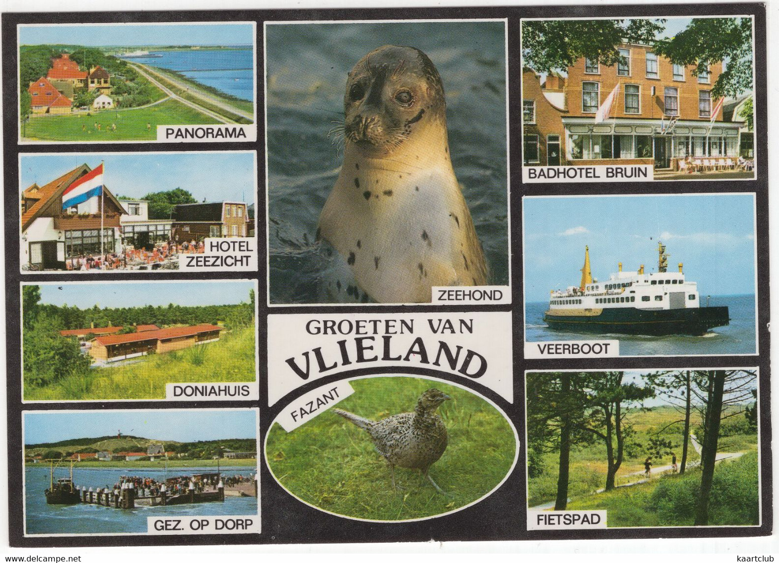 Groeten Van Vlieland - (Nederland/Holland) -  Nr. VLD 64 - Vlieland