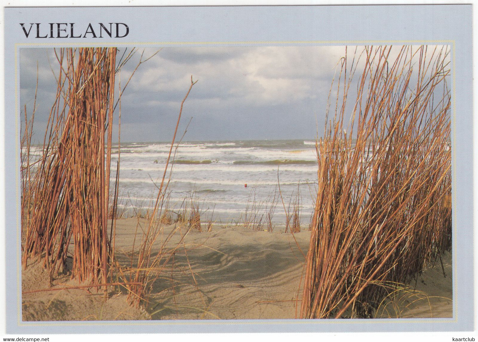 Vlieland - Riet, Duin, Branding - (Nederland/Holland) - 203 - Vlieland