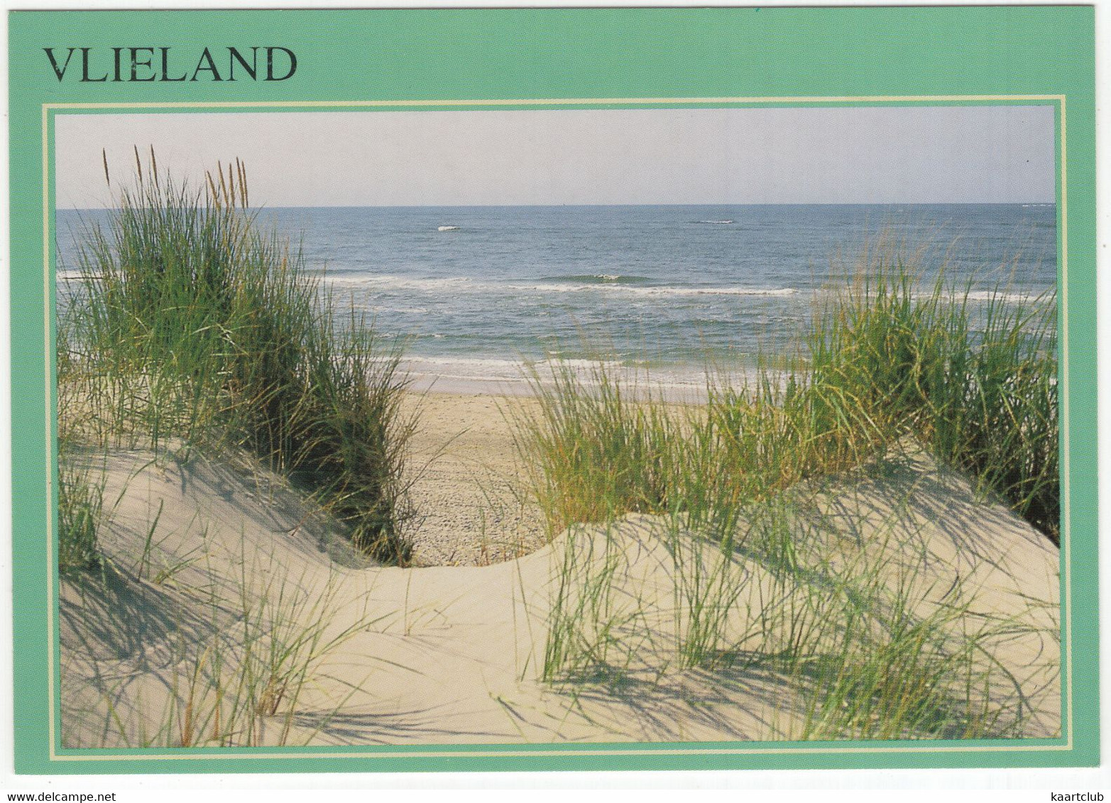 Vlieland - Riet, Strand, Branding - (Nederland/Holland) - 204 - Vlieland