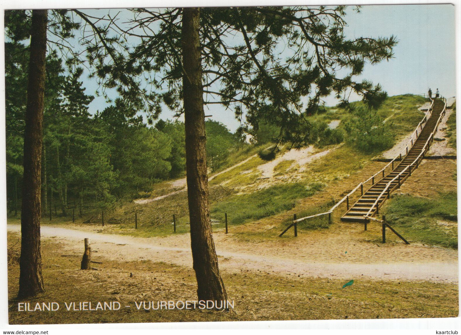 Eiland Vlieland - Vuurboetsduin - (Nederland/Holland) - Nr. L 8059 - Vlieland