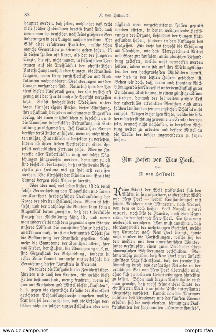 A102 875 - New York Hafen Schiffe Werft Artikel Mit 5 Bildern 1885 !! - Autres & Non Classés