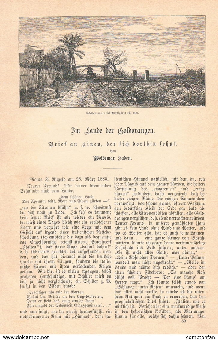 A102 877 - Kaden Bordighera Albano Ligurien Riviera Artikel Mit 8 Bildern 1885 !! - Autres & Non Classés