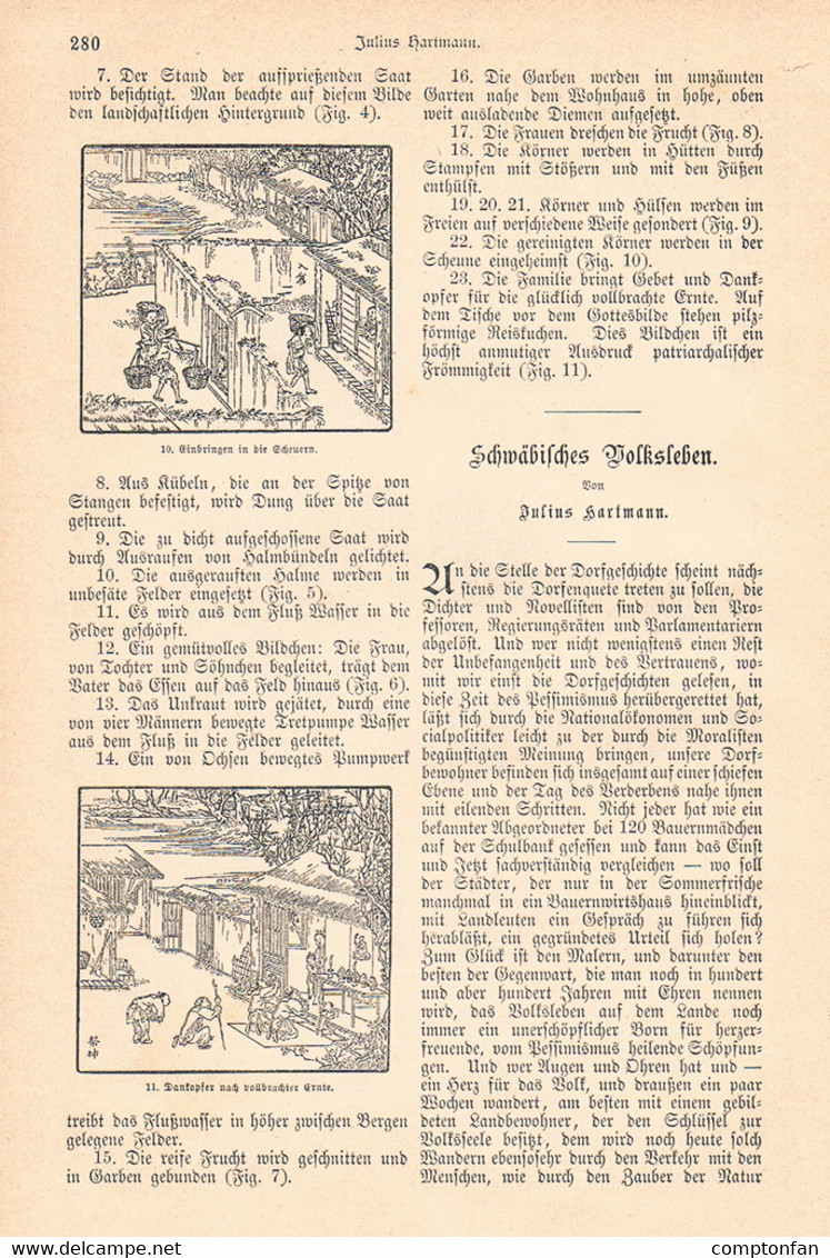 A102 878 - Schwaben Volksleben Jahrmarkt Ernte Trachten Artikel Mit 10 Bildern 1885 !! - Autres & Non Classés