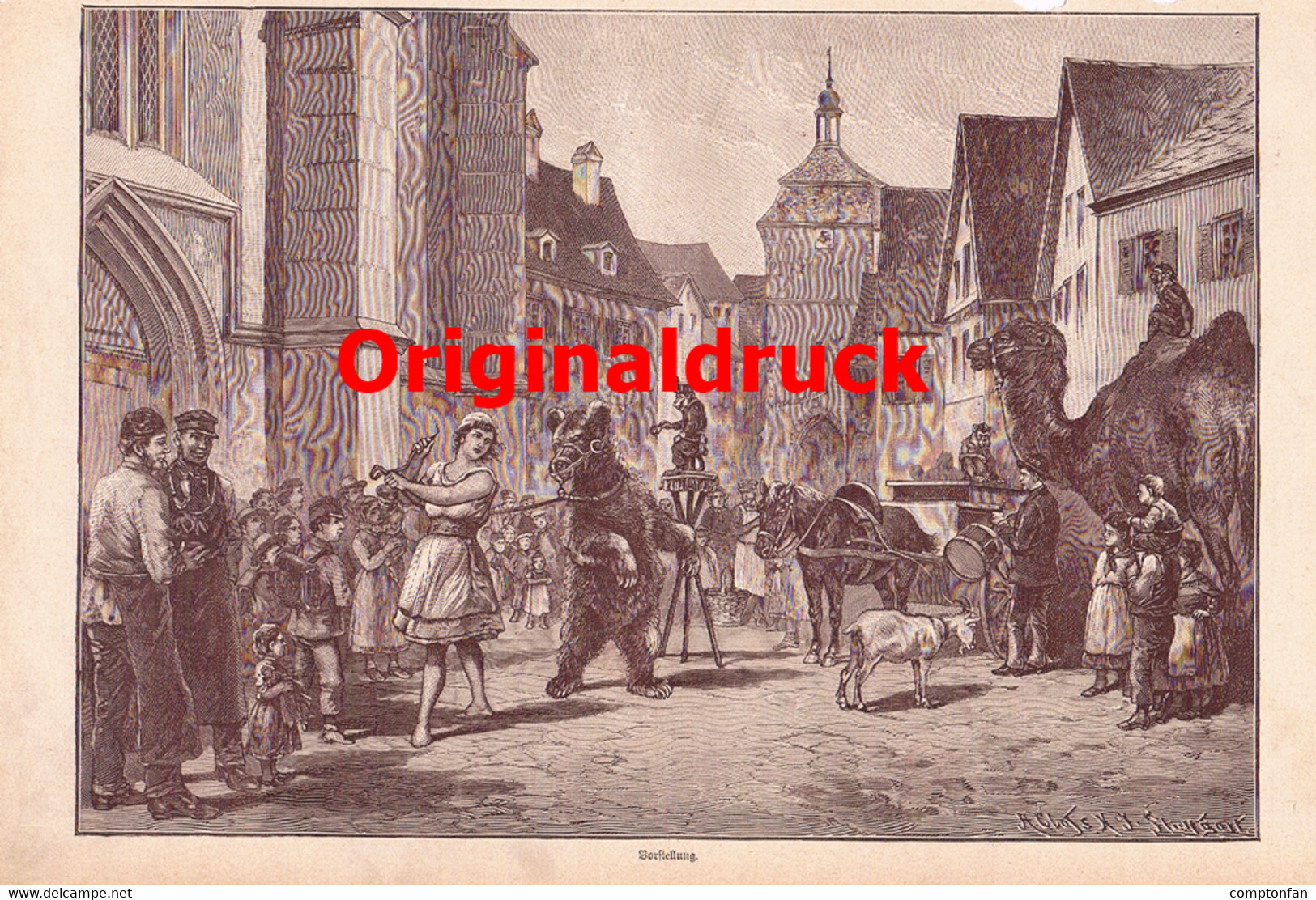 A102 891 - Menagerie Maler Tiere Zirkus Artikel Mit 9 Bildern 1895 !! - Autres & Non Classés