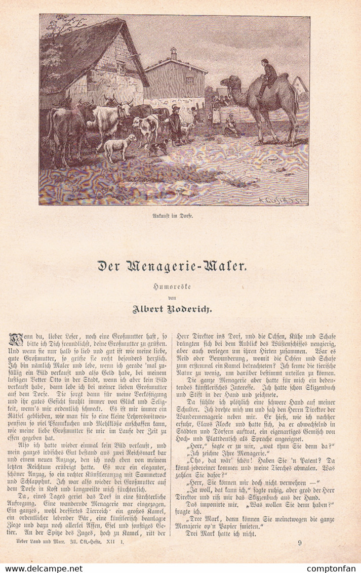 A102 891 - Menagerie Maler Tiere Zirkus Artikel Mit 9 Bildern 1895 !! - Autres & Non Classés